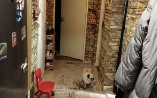 Vând apartament 2 camere – Mănăștur, Cluj-Napoca. - Poză 5