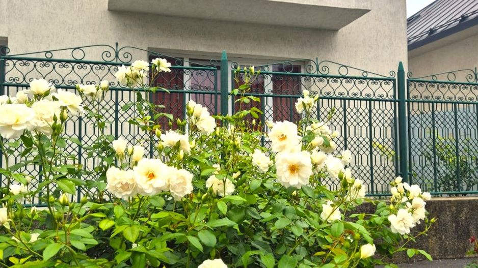 Casă pretabilă investiție, spațioasă, singur în curte, 600 mp teren - Poză 2