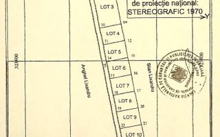 Loturi teren 500 mp - Domnesti Elixirului - Poză 1