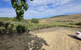 Teren extravilan parcelabil de 9.300 mp în Dorobanți/Aroneanu, aproape de Baza Nautică - Poză 8