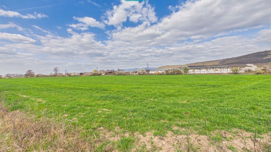 Teren extravilan, 1 ha, în orașul Sebiș, Arad - Poză 5