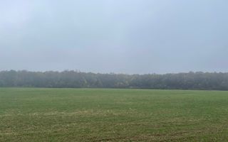 9400 mp | Ideal pentru investitie | Tunari | Deschidere la padure - Poză 8