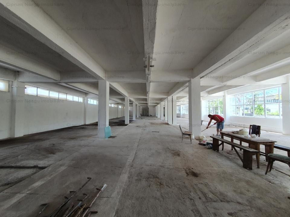 Hala Depozitare de Inchiriat Pitesti - Poză 9
