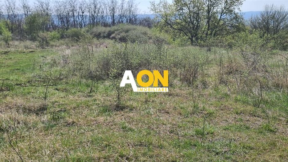 Teren de vanzare in zona Platou, toate utilitatile, 1000MP - Poză 2