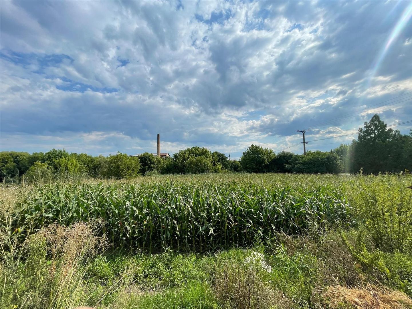 Casa cu teren de 1233 mp la 25 km de Oradea - Poză 11