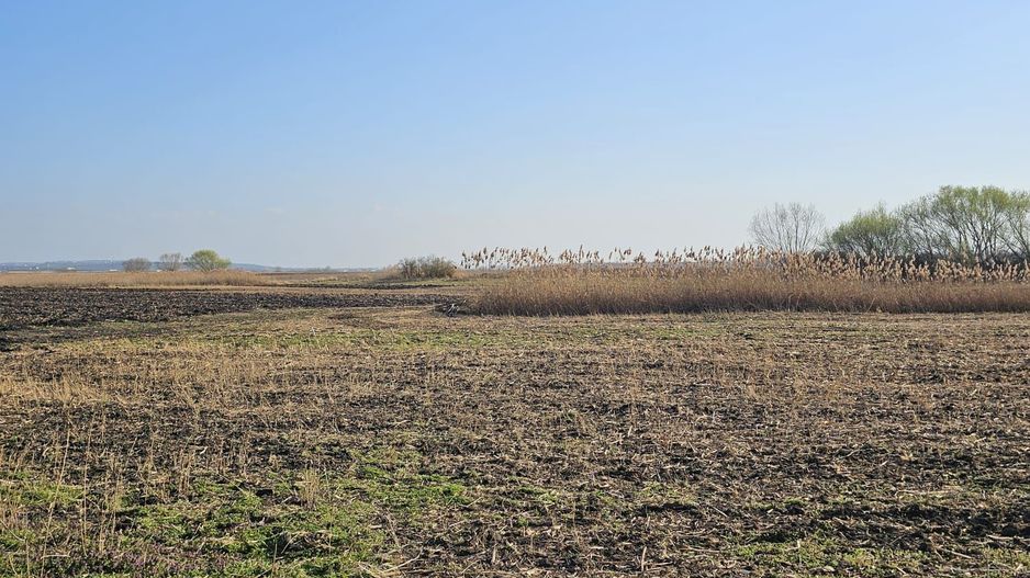 Teren extravilan pentru balastiera Biharia - Poză 4