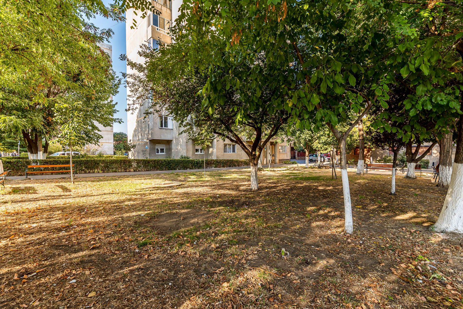 🏡 3 camere, 2 băi, parter – Aurel Vlaicu | 79.000 € - Poză 13