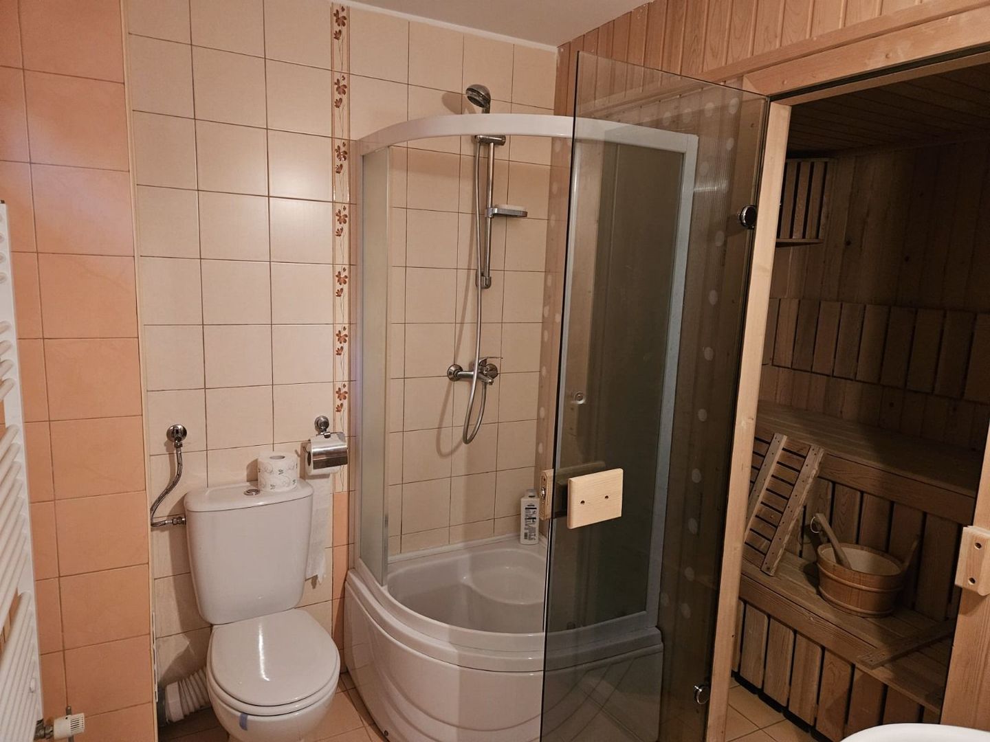 Inchiriere vila 10 camere zona Bd. Ferdinand - Poză 3