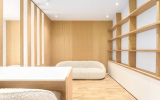 Apartament tip Studio Jandarmeriei Baneasa - The Ivy - Poză 5