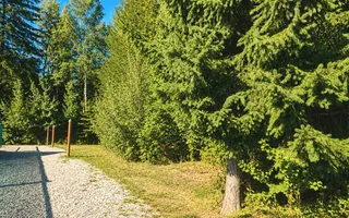 TEREN INTRAVILAN 744 MP | VALEA AVRIGULUI | IDEAL PENTRU CABANĂ - Poză 11
