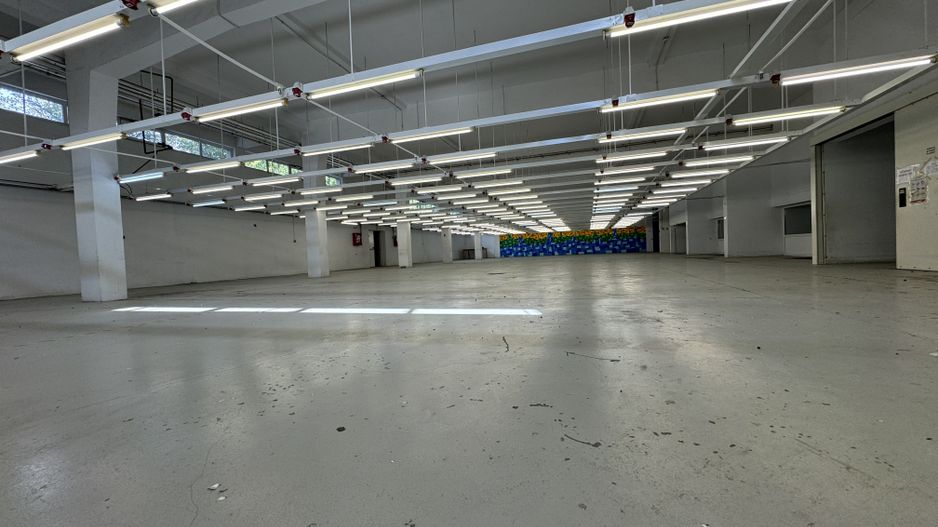 Hala productie P+1 si apartament de serviciu Navodari - c-tie beton - Poză 4