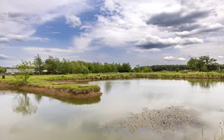 AFACERE FUNCTIONALA - MOTEL, PARCARE TIRURI, CAMPING cu piscina si lacuri - Poză 11