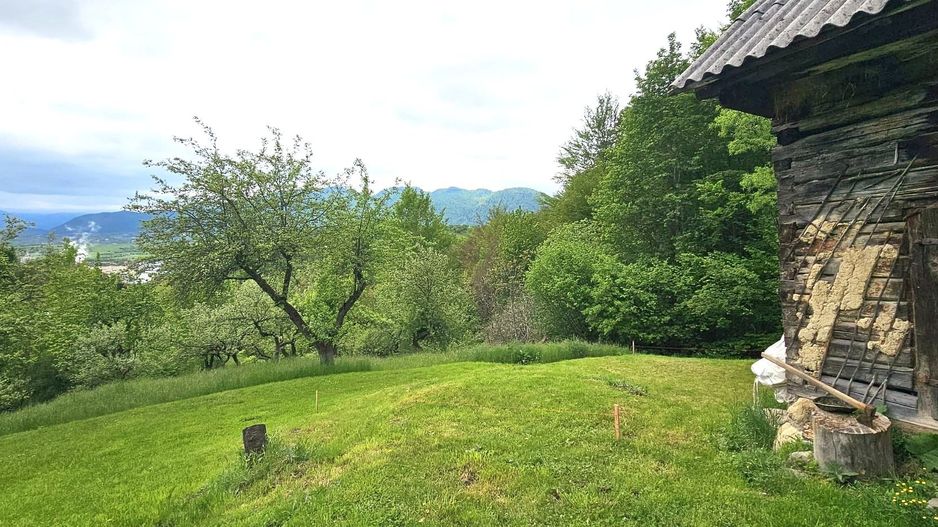 Domeniu Premium 1.7 Ha Intravilan Zărnești | Lizieră Pădure | Ideal Resort - Poză 4