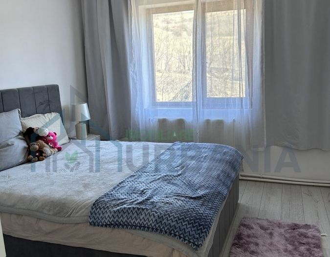 Casă recent renovată, 5 camere, Aroneanu, sat Rediu Aldei, 9 km de Podu de Fier - Poză 5