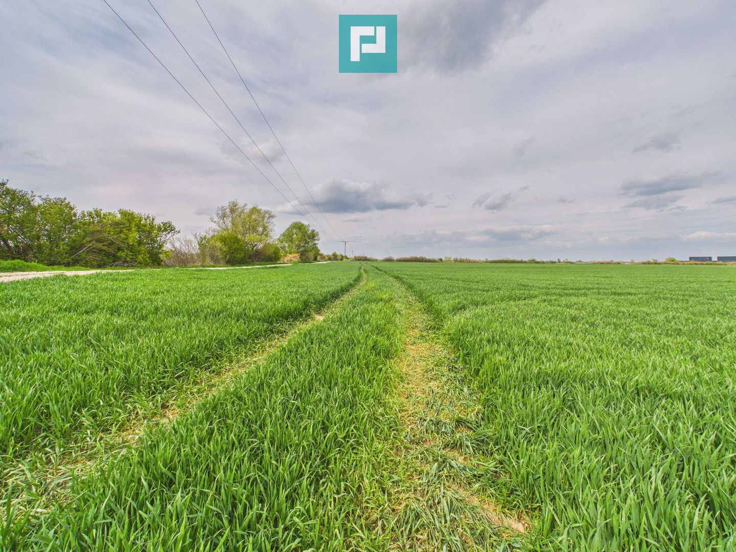 Teren extravilan 19.900 mp – Giroc centură - Poză 3