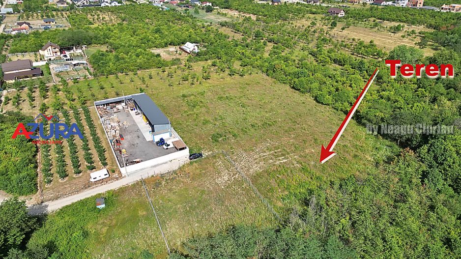 AZURA Imobiliare - Vanzare teren Smeura, zona verde - Poză 9
