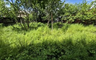 Spatiu comercial+Locuinta 664 mp construiti+anexa 16 mp si teren 845mp - Poză 35