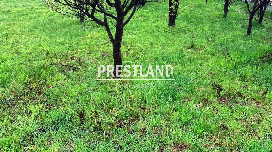 Teren constructie casă de vacantă !! - Poză 4