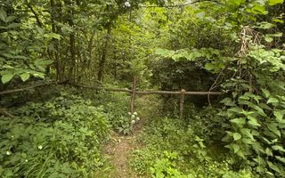 Teren plat-intravilan -3800 mp, cu pădurice și ieșire la râu! - Poză 24