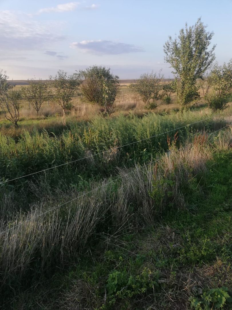 Ferma de vânzare - Poză 8