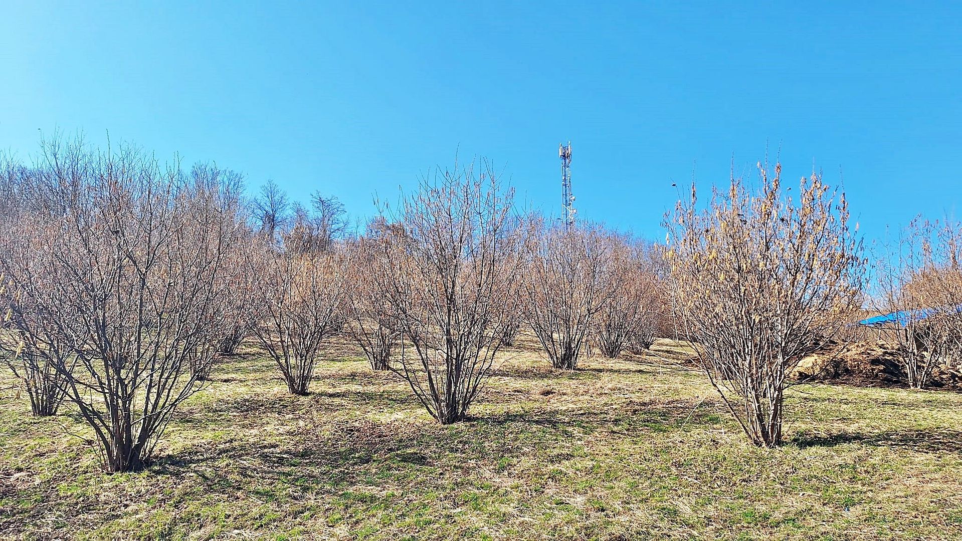 Comision 0%! Teren superb de 17000mp la 5 min de Castelul Bran, 13 euro/mp - Poză 12