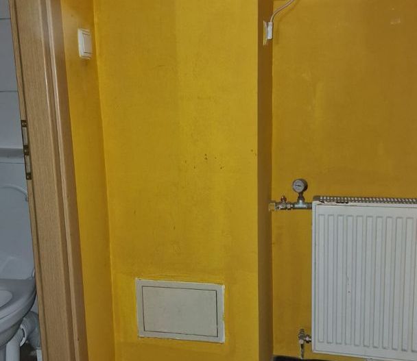 SPATIU COMERCIAL DE VANZARE ULTRACENTRAL - Poză 2
