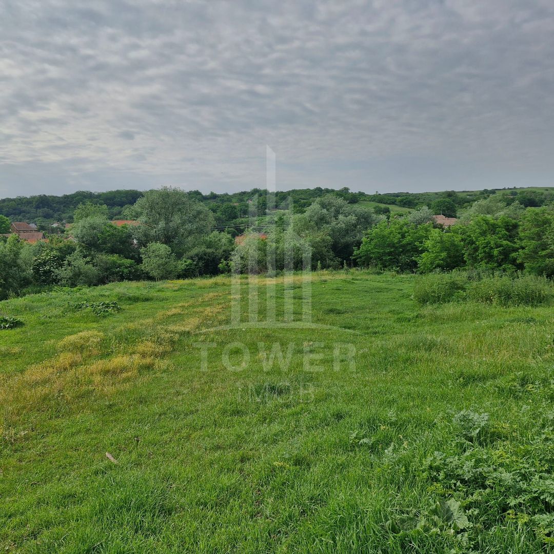 De vânzare Teren versatil 3.919 mp  in localitatea Armeni. Sibiu - Poză 1