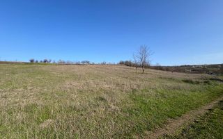 Teren pentru grădină / investiție – 14,86 ari în Ghidighici, zonă liniștită și ecologică - Poză 4