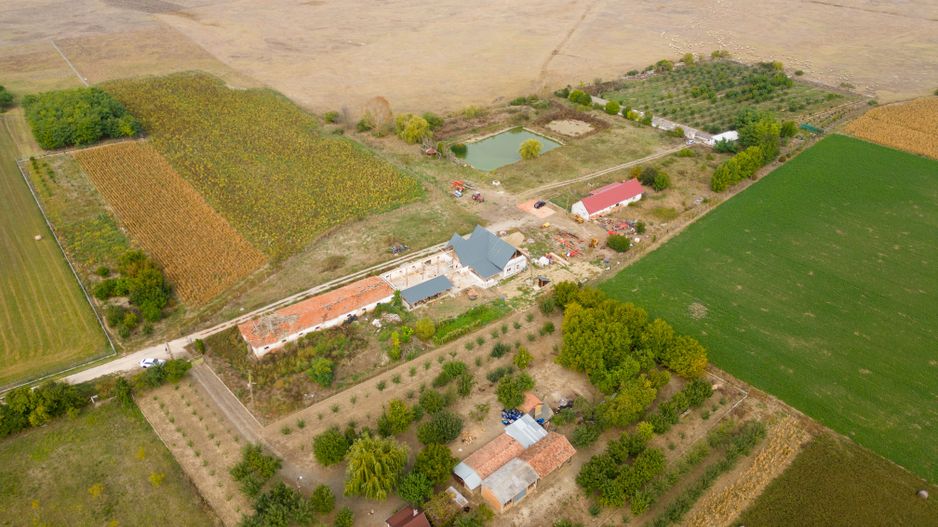 Teren intravilan cu iazuri și casă - Chișineu-Criș - Poză 19