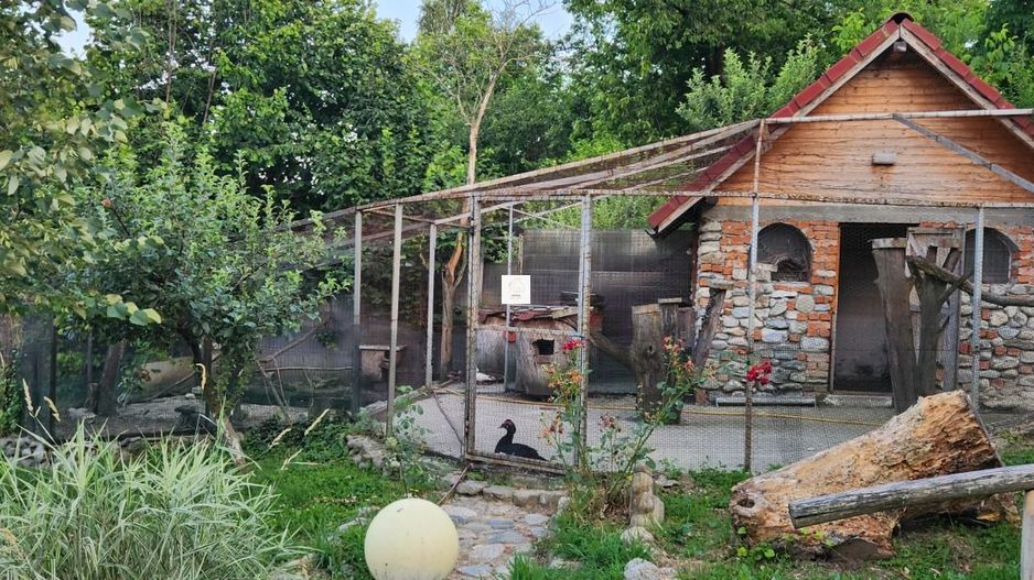 Vila Horezu Romanii de Jos - Poză 20