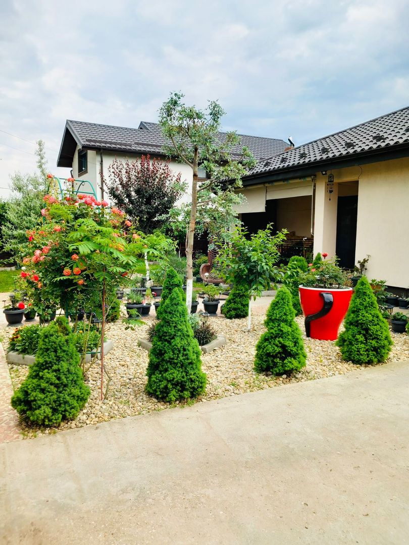 Parter cu structură pentru etaj, curte amenajată și organizare impeca - Poză 22