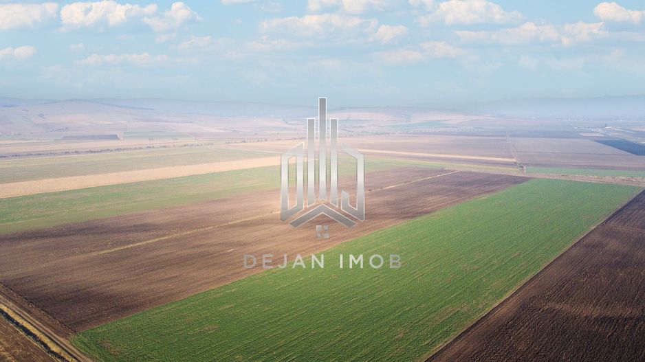 5 Ha | Teren extravilan | Langa Fabrica Reci - Poză 5