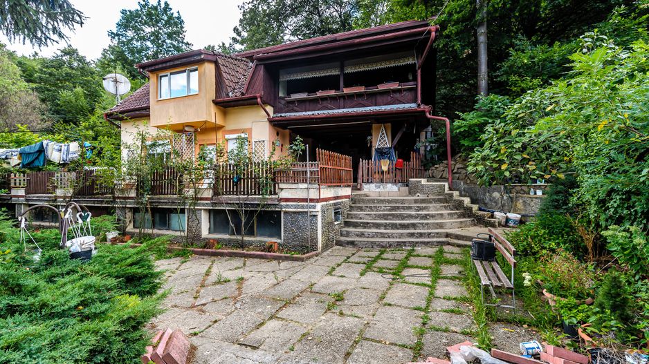 PROPRIETATE VÂNDUTĂ Casă conac cu 15.000 mp deal împădurit la Barațca, - Poză 3