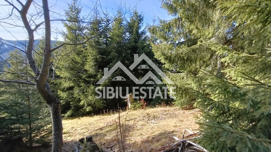 Teren de vânzare în zona montană a județului Alba - Poză 7