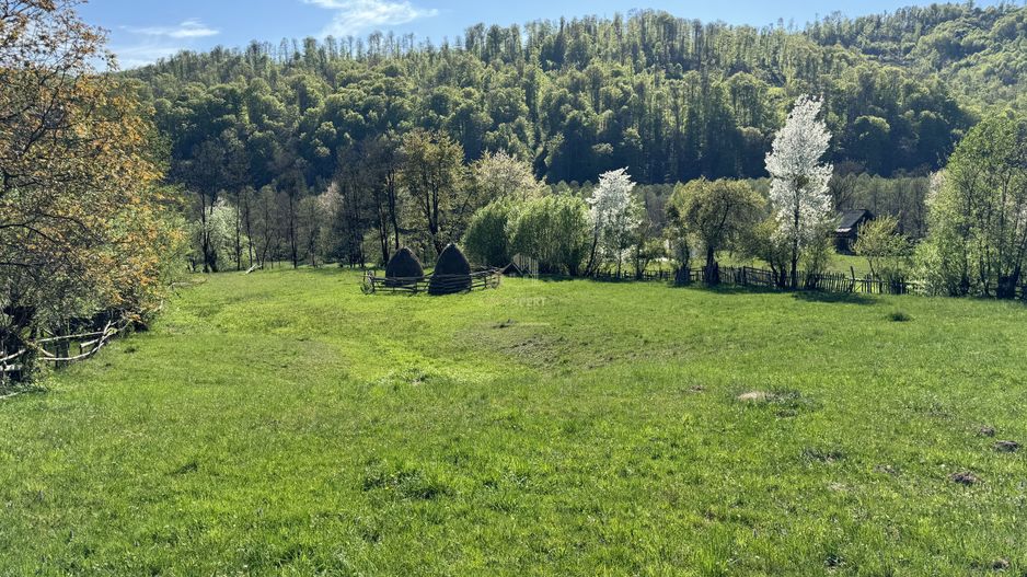 TEREN INTRAVILAN 2592 MP,  ALBESTI DE MUSCEL, ARGES - Poză 17