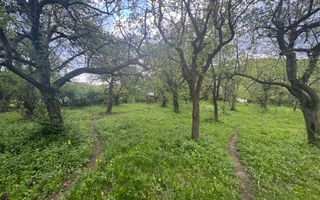 TEREN INTRAVILAN 7018 MP CAMPULUNG - Poză 22