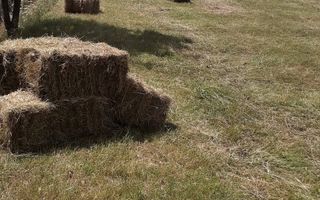 Proprietate cu 60000 mp pamant la pret de apartament - Poză 27