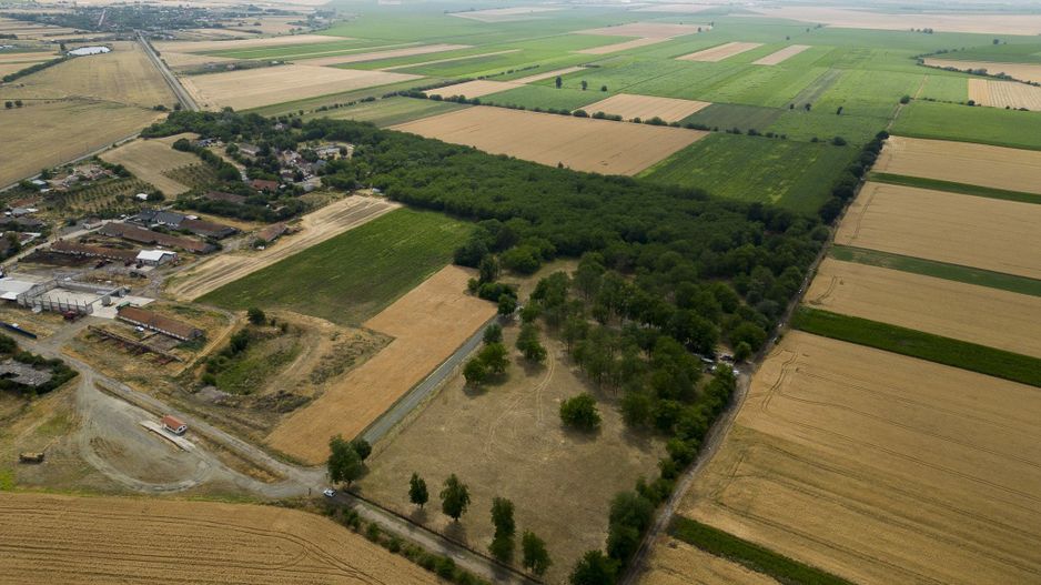 Teren intravilan Şofronea - Poză 4