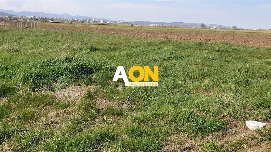 Teren Construibil, Partos 480mp - Poză 2