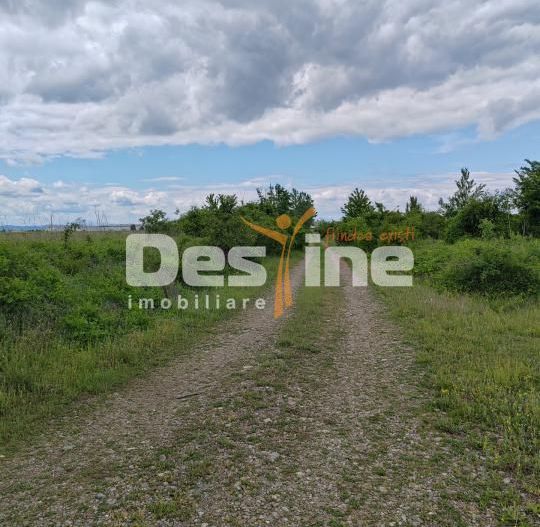 Teren extravilan, 114000 mp, Parc industrial West Park - Poză 16