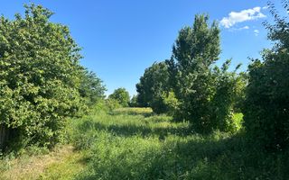 Teren Vanzare 11.000 MP Ghirdoveni | COMISION 0% - Poză 6