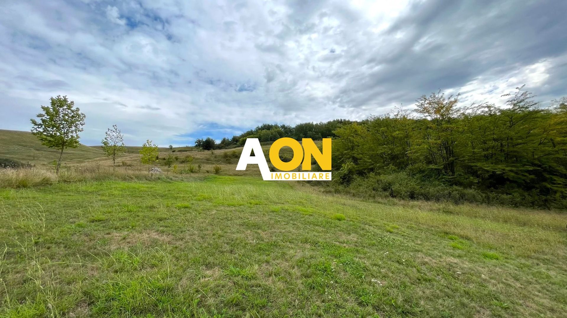 Teren de vanzare in Ciugud, 4200MP, Priveliste, Padure - Poză 2