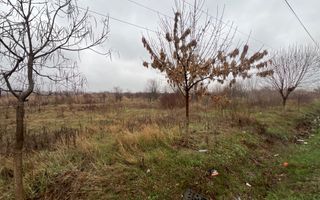 Teren la DN7 - ideal investitie (Benzinarie, spalatorie, hala, rezidential) - Poză 8