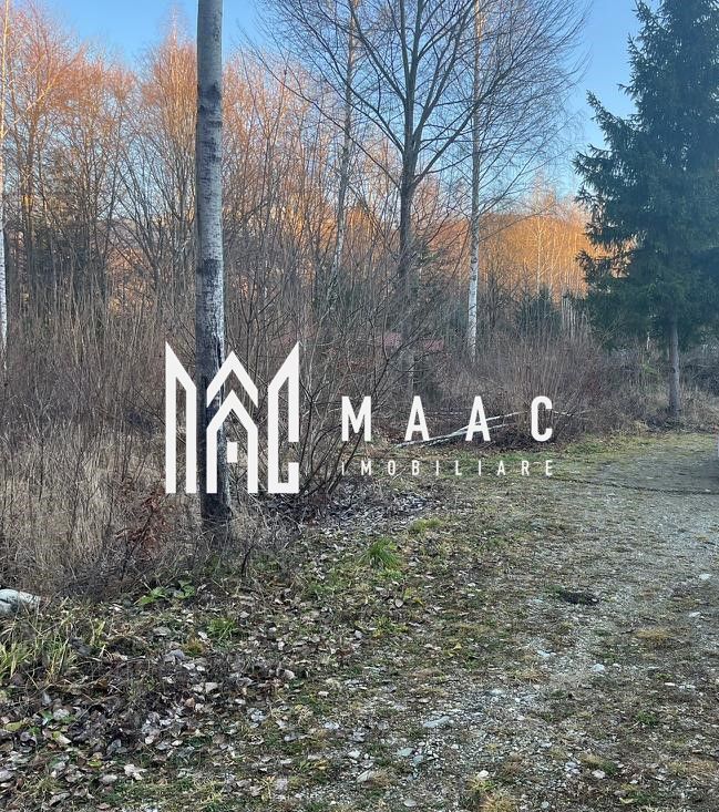 Teren 744 mp I Intravilan I Valea Avrigului - Poză 2