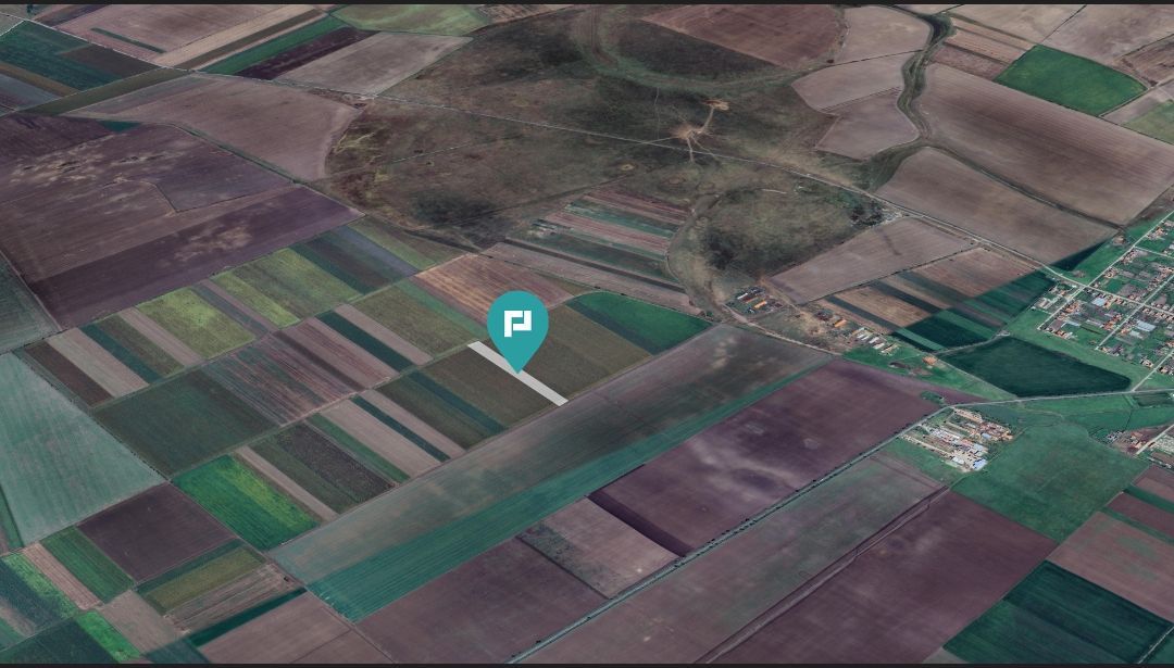 Teren extravilan de 14.500 mp în Caporal Alexa - Poză 5