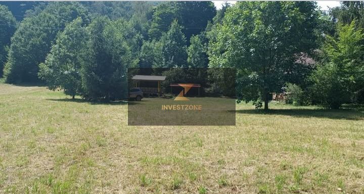 Teren de vis de vanzare in Remeti-Bihor-27p0 mp - Poză 3