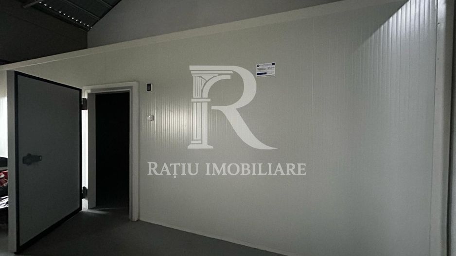 Complex agroindustrial de închiriat | Sere 3.300 mp - Poză 5