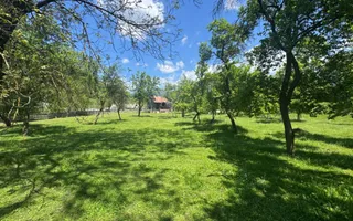 TEREN INTRAVILAN 3477 MP STOENEȘTI BĂDENI ARGEȘ - Poză 14