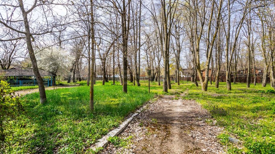 Vânzare, spațiu comercial, 1.04 ha, Vadul lui Vodă - Poză 3