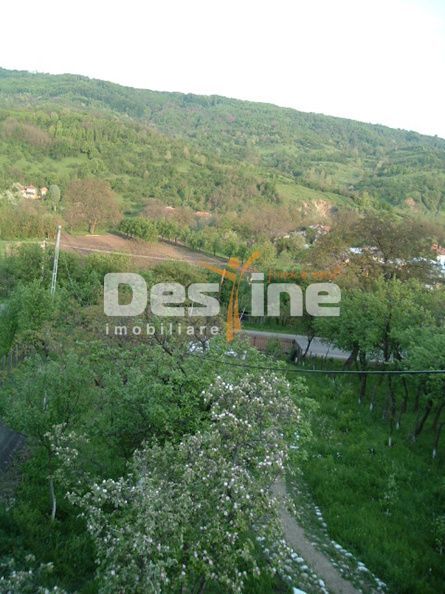 Drajna de Jos 5000 mp Teren +Casa demolabila ! - Poză 2